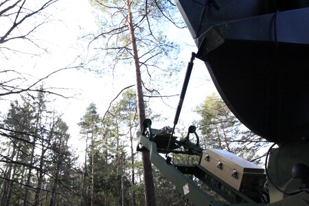 Staellite dish in trees
