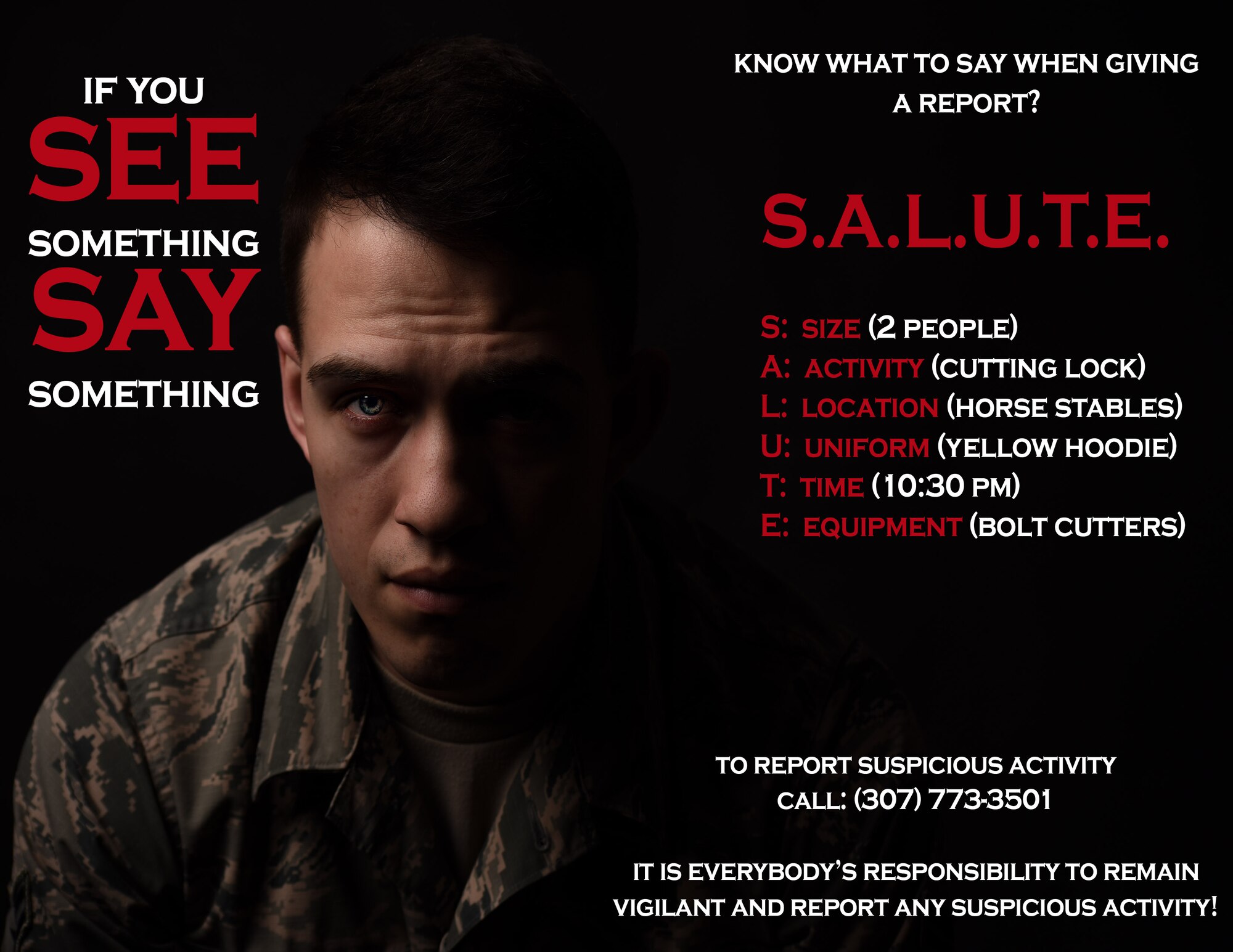 Graphic explains SALUTE, which stands for size, activity, location, uniform, time, and equipment.