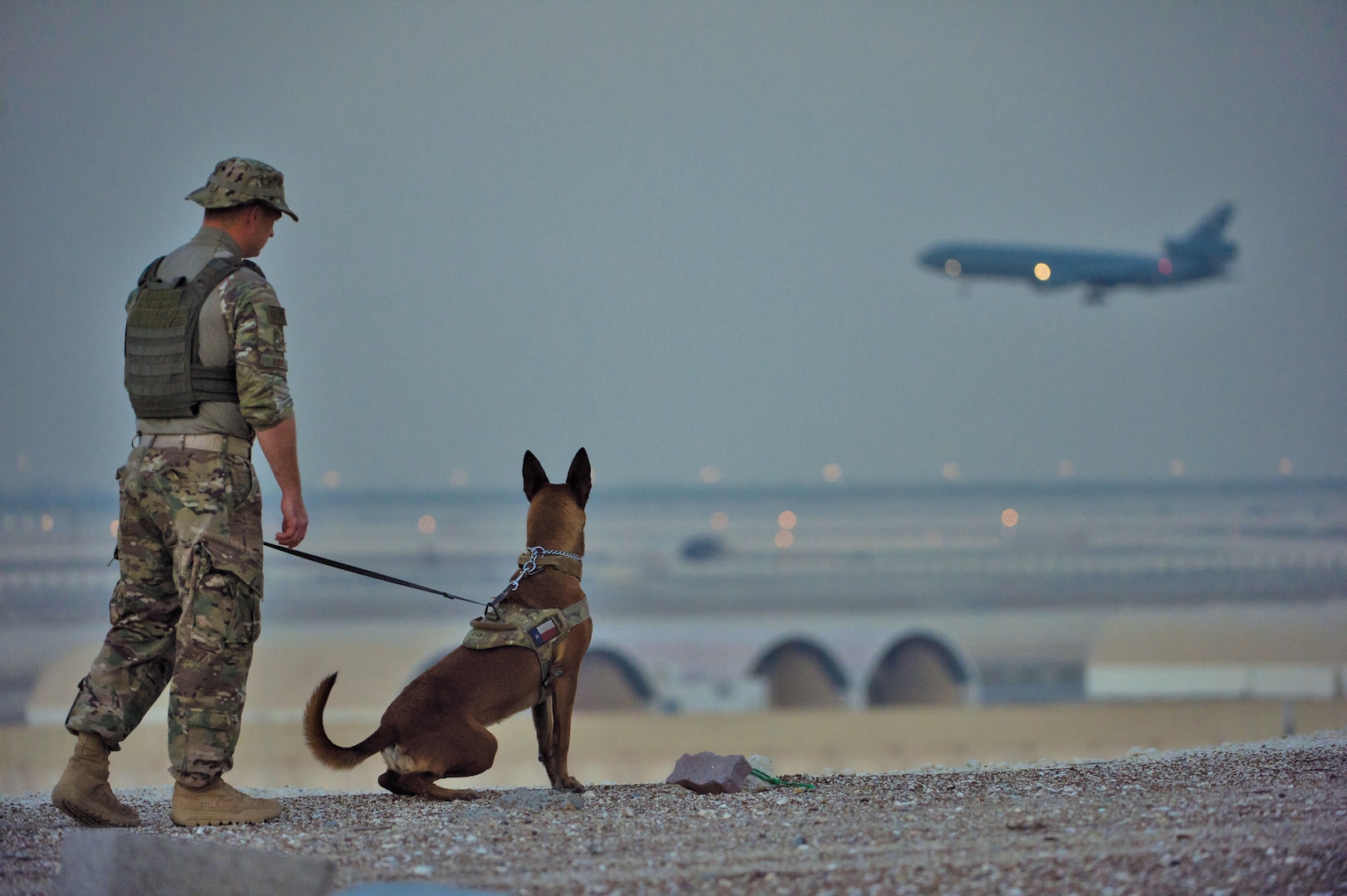 Military working dog team with 380th Expeditionary Security Forces Squadron completes detection training scenario at undisclosed location in Southwest
Asia, January 10, 2017 (U.S. Air Force/Tyler Woodward)