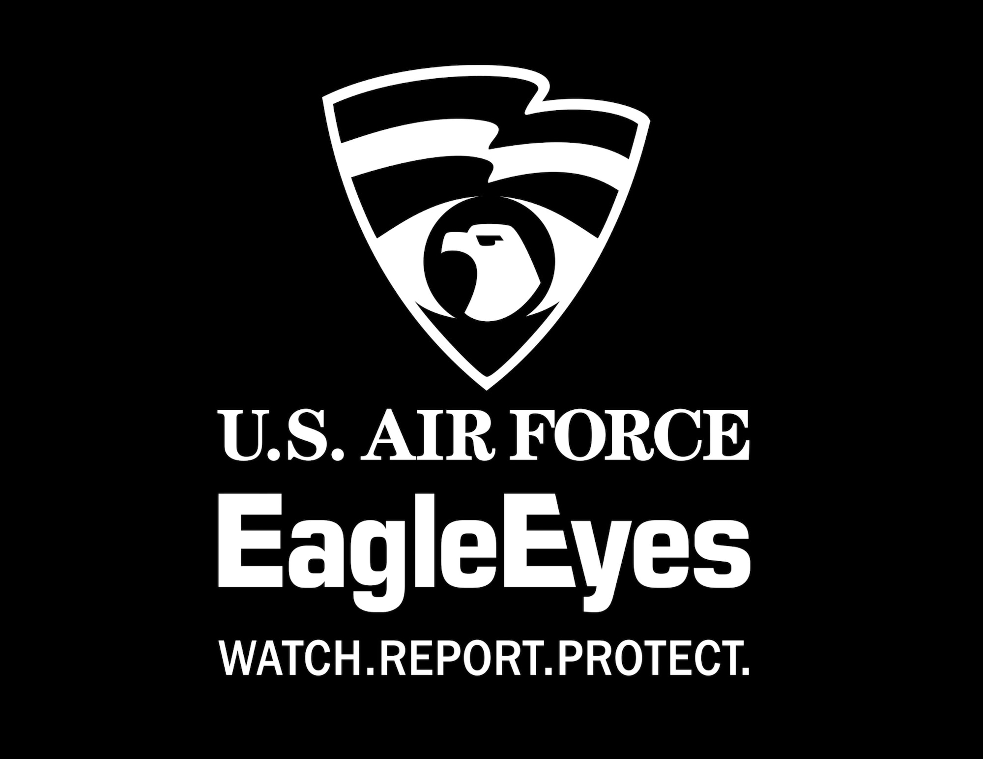 Air Force Eagle Eyes Program