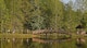 Team Shaw members walk around Memorial Lake to raise money for the Air Force Assistance Fund during a Weasel Walk at Shaw Air Force Base, S.C., April 13, 2018.