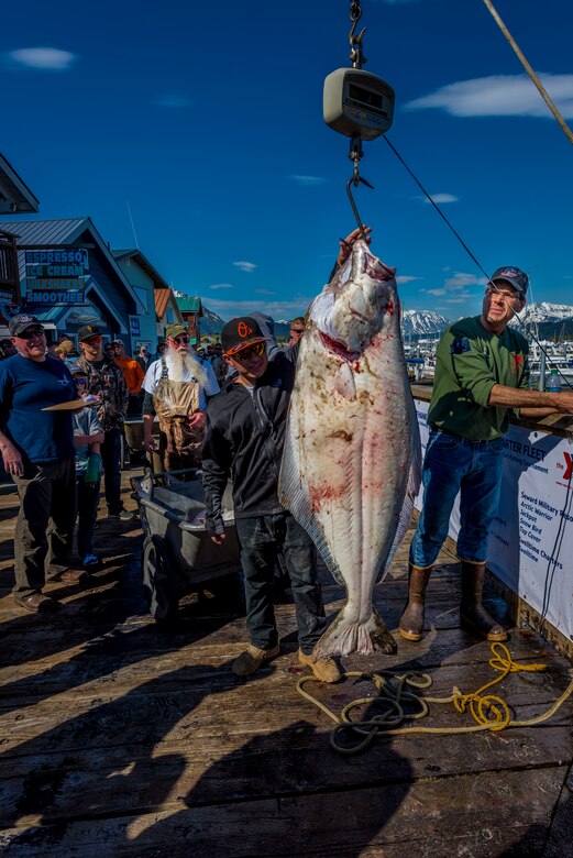 Keith Manternach, Armed Services YMCA of Alaska board president and one of the original ASYMCA of Alaska Combat Fishing Tournament founders, weighs fish on the dock during the Combat Fishing Tournament in Seward, Alaska, May 26, 2017. Founded in 2006, the tournament was established as a way of showing thanks and honor to service members through an opportunity to go deep-sea fishing.