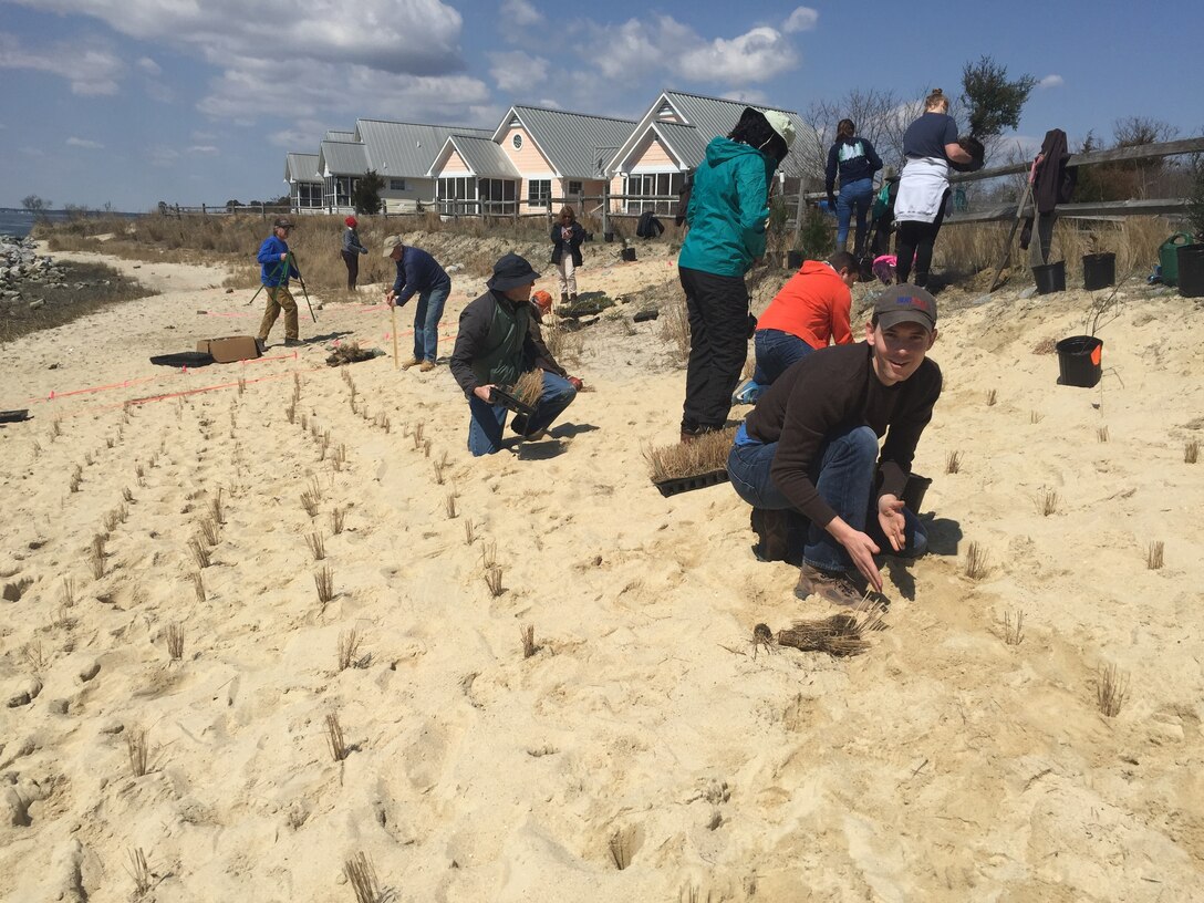USACE co-hosted an Engineering with Nature workshop April 10-12 in Delaware. Participants conducted a planting demonstration project at Bubblegum Beach on the north side of the Indian River Inlet in Sussex County, DE. Workshop participants planted 1000 herbaceous plants and 40 shrubs and trees.