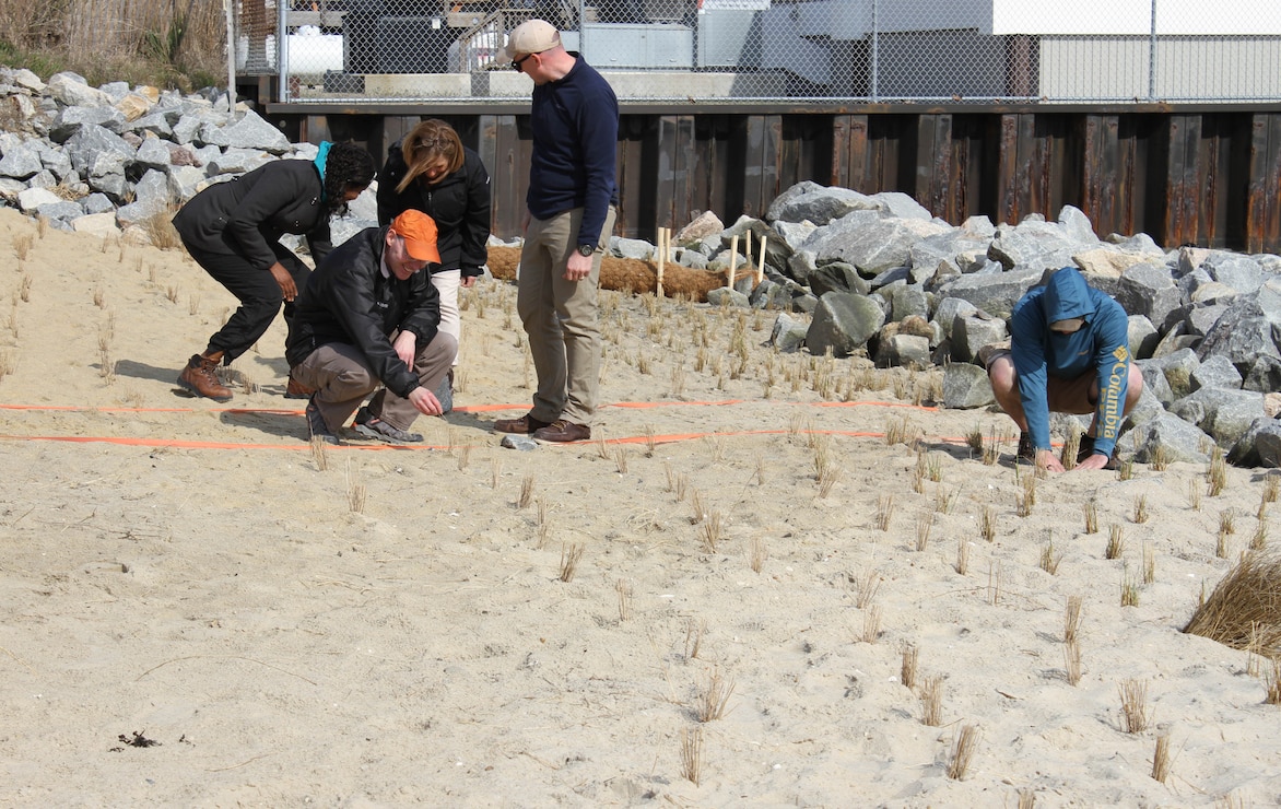 The U.S. Army Corps of Engineers and the non-profit Delaware Center for the Inland Bays co-hosted an Engineering with Nature workshop April 10-12, 2018 in Delaware. Participants conducted a planting demonstration project at Bubblegum Beach on the north side of the Indian River Inlet in Sussex County, Del. Workshop participants planted 1000 herbaceous plants and 40 shrubs and trees.