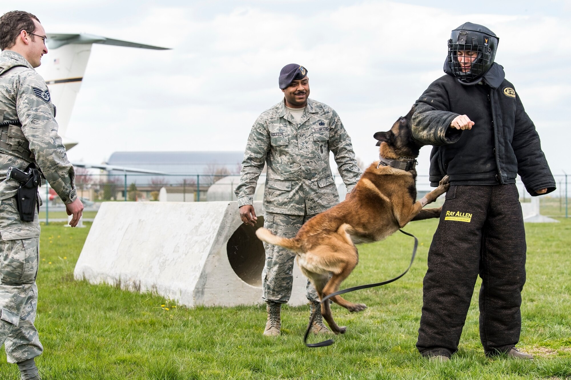 Karlo, a 436th Security Forces Squadron military working dog, attacks the arm of Joey Logano, driver of the No. 22 Ford in the Monster Energy NASCAR Cup Series, during a training demonstration, April 11, 2018, at Dover Air Force Base, Del. Logano experienced the biting power of Karlo, an 80-pound military working dog, under the watchful eyes of Staff Sgts. David Bischoff, MWD handler (left), and Dominque Singleton, MWD trainer, both assigned to the 436th SFS. (U.S. Air Force photo by Roland Balik)