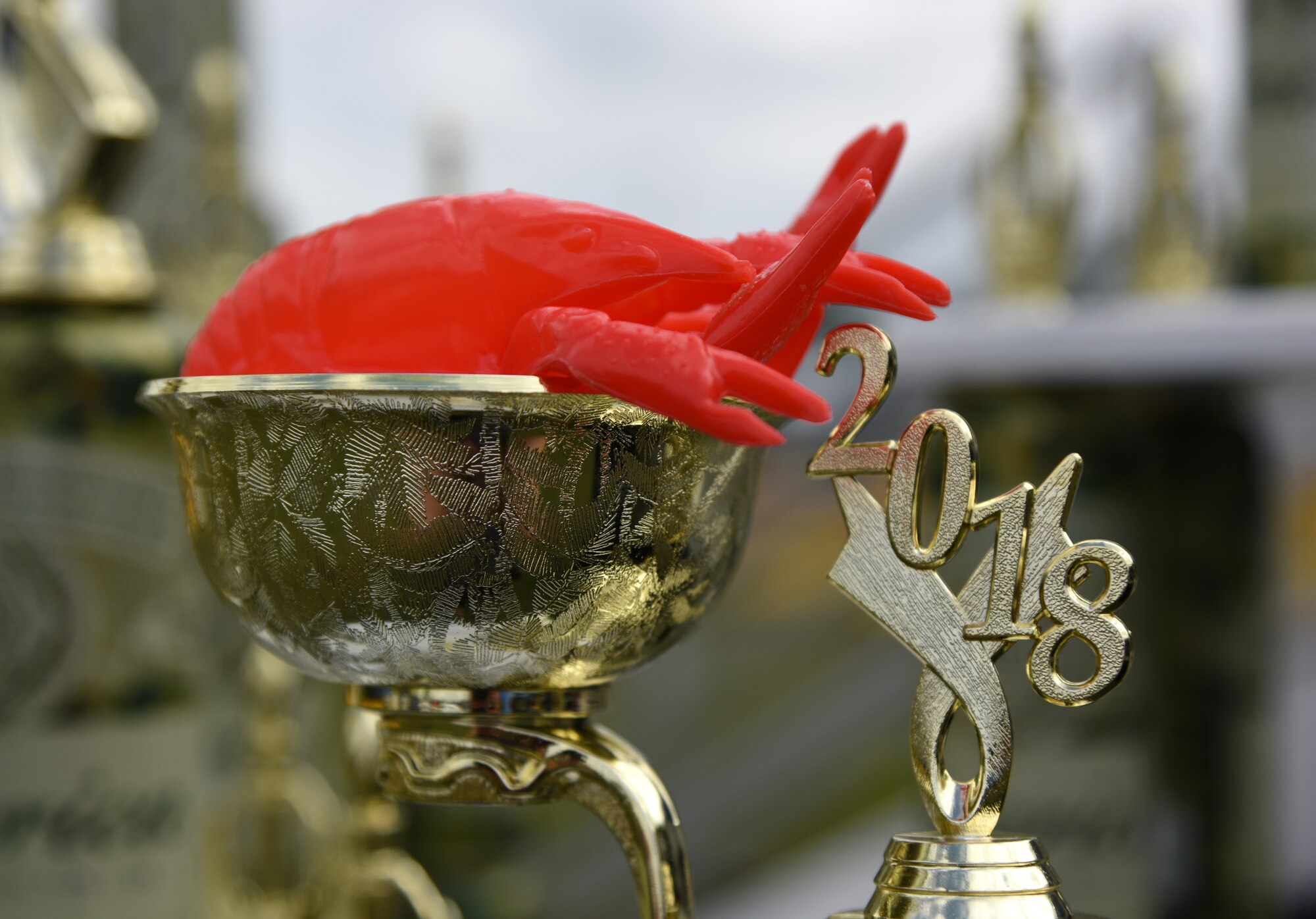 Trophies are displayed during the 6th Annual Bay Breeze Crawfish Cook-Off at the Bay Breeze Event Center at Keesler Air Force Base, Mississippi, April 13, 2018. The “Craw-Fish Pot-Nahs” won first place overall and a free entry into the 26th Annual Mississippi Coast Coliseum Crawfish Festival Cook-Off. Twenty-one teams competed in the event. (U.S. Air Force photo by Kemberly Groue)