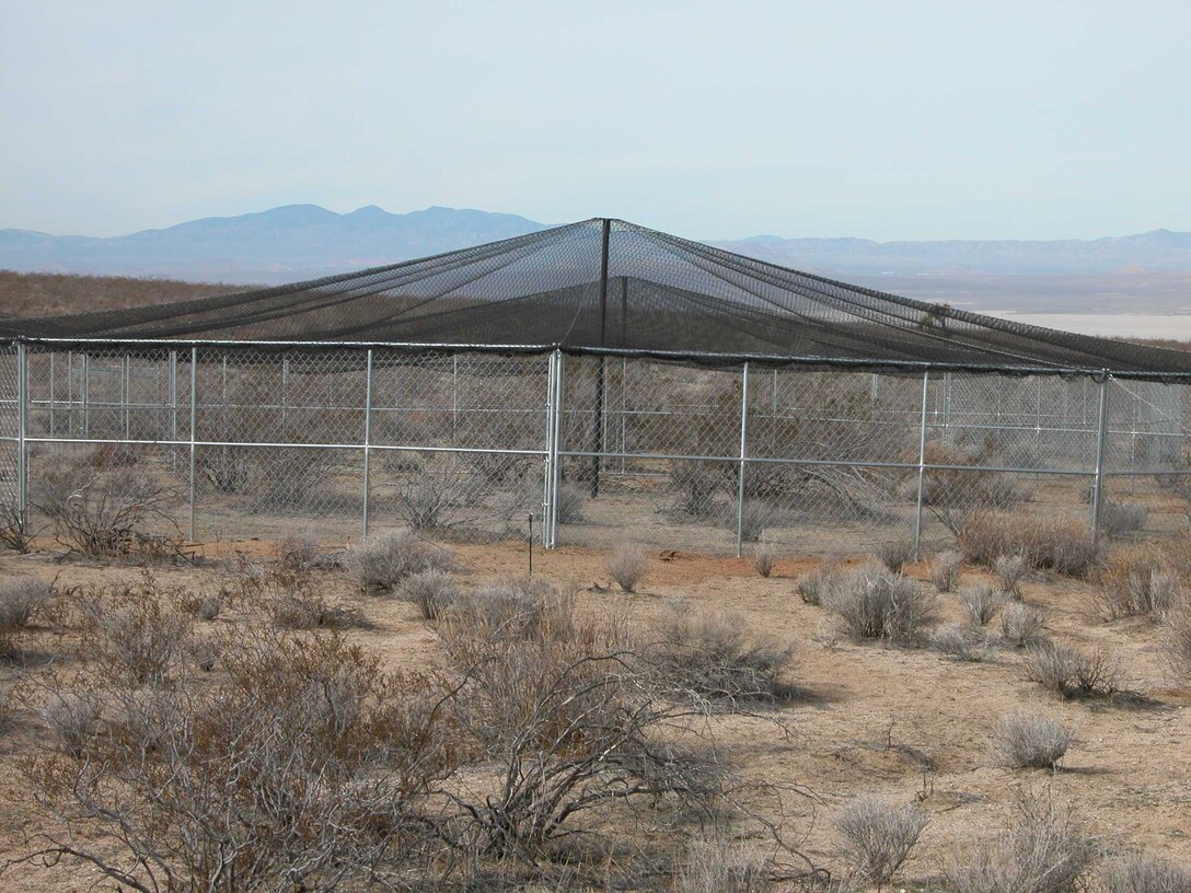 Edwards AFB is hosting the desert tortoise head-start study and providing use of the base’s head-start pens to allow San Diego Zoo Global and United States Geological Survey to study the tortoises. The pens are designed to replicate the natural environment of the western Mojave Desert. (Courtesy photo)