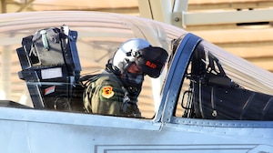 F-15 pilot