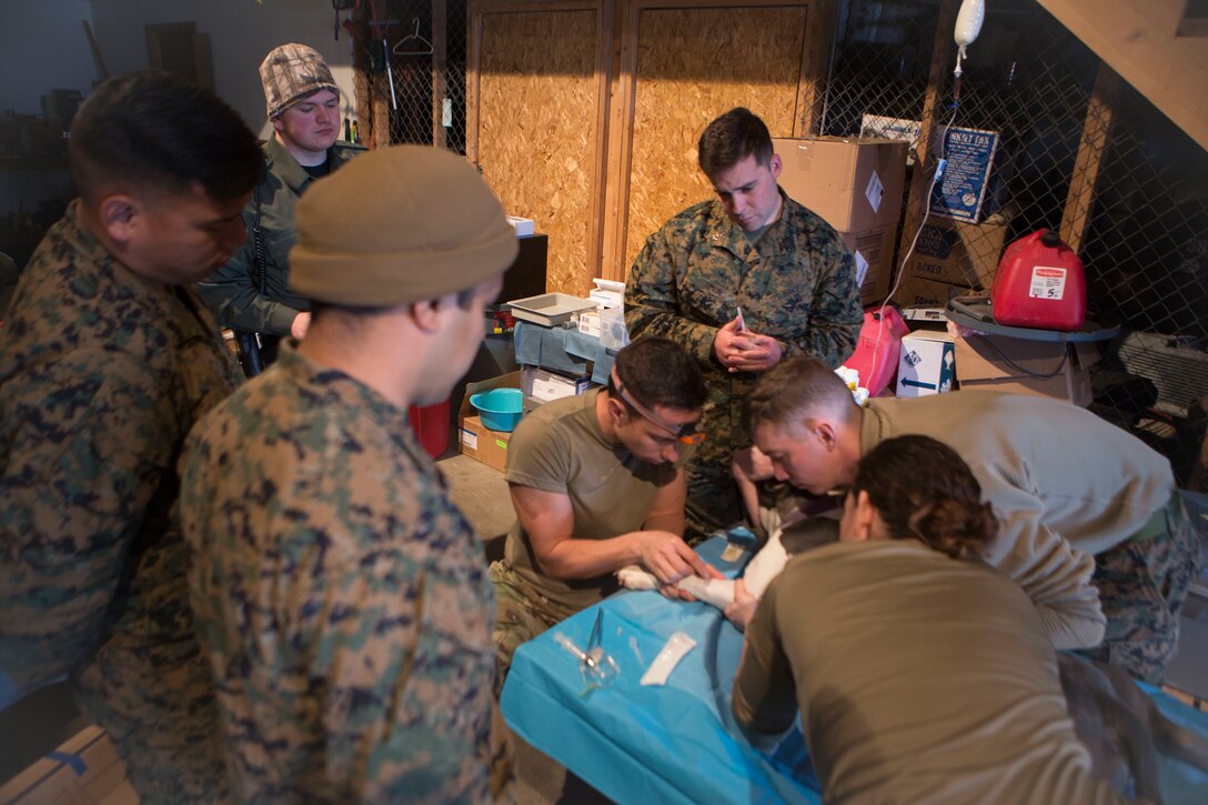 Service members in support of Innovative Readiness Training Arctic Care 2018, provide veterinary service to a local family’s pet Pitbull, Kotzebue, Alaska, April 17, 2018.