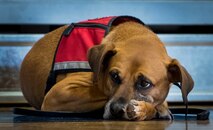 Warrior Care/Games training Day 3