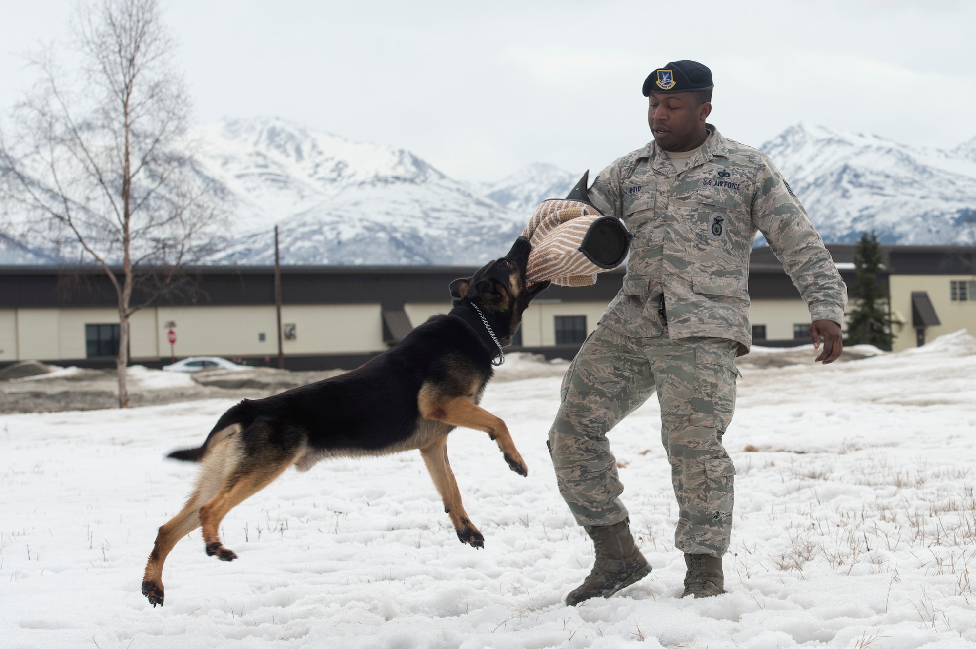 Staff Sgt. Rodreques Boyd, and military working dog, Beni, assigned to the 673rd Security Forces Squadron, conduct aggression training at Joint Base Elmendorf-Richardson, Alaska, April 9, 2018. Boyd performed the training with Beni to maintain their skills and operational readiness. (U.S. Air Force photo by Alejandro Peña)