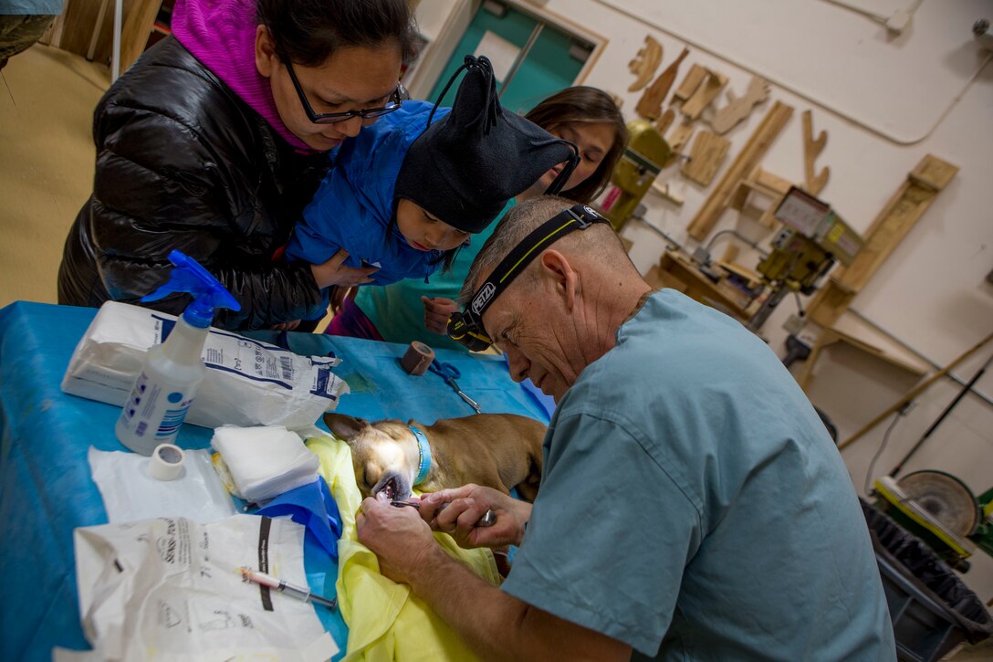 U.S. Army Reserve Lt Commander Eugene Johnson, a veterinary officer with 445th Medical Detachment Veterinary Services, provides care to a local family’s pet as part of Innovative Readiness Training Arctic Care 2018, Buckland, Alaska, April 18, 2018.