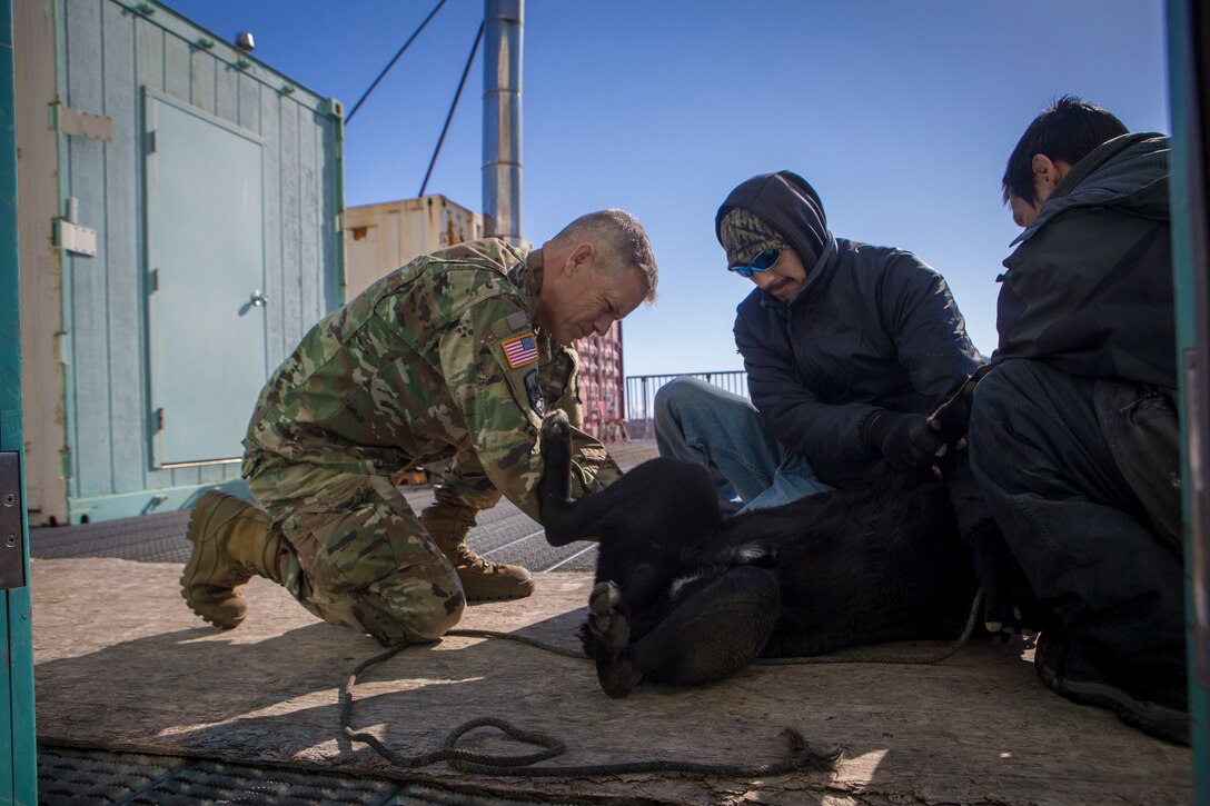 U.S. Army Reserve Lt Commander Eugene Johnson, a veterinary officer with 445th Medical Detachment Veterinary Services, provides care to a local family’s pet as part of Innovative Readiness Training Arctic Care 2018, Buckland, Alaska, April 18, 2018.
