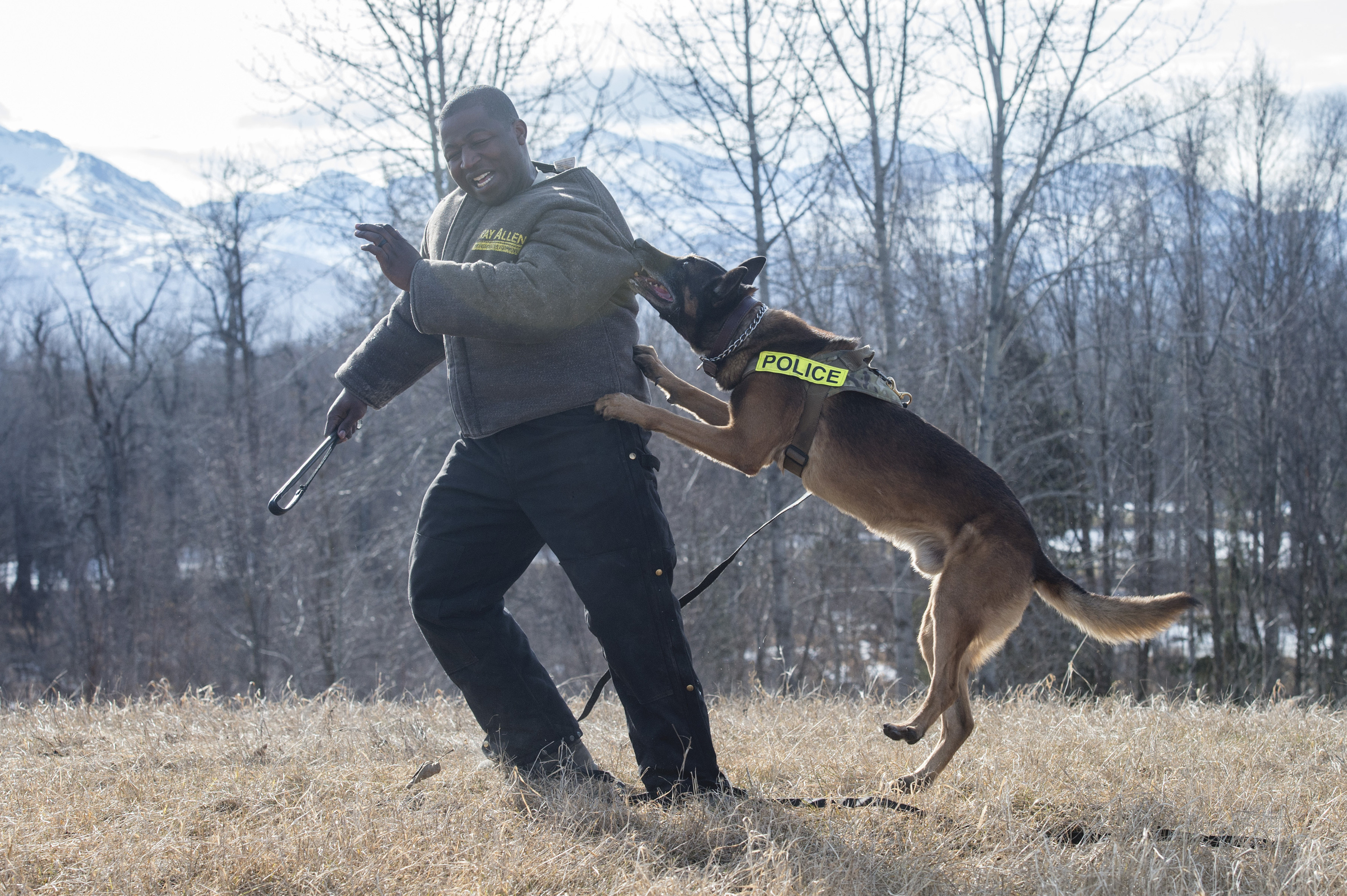 Working with shop aggressive dogs