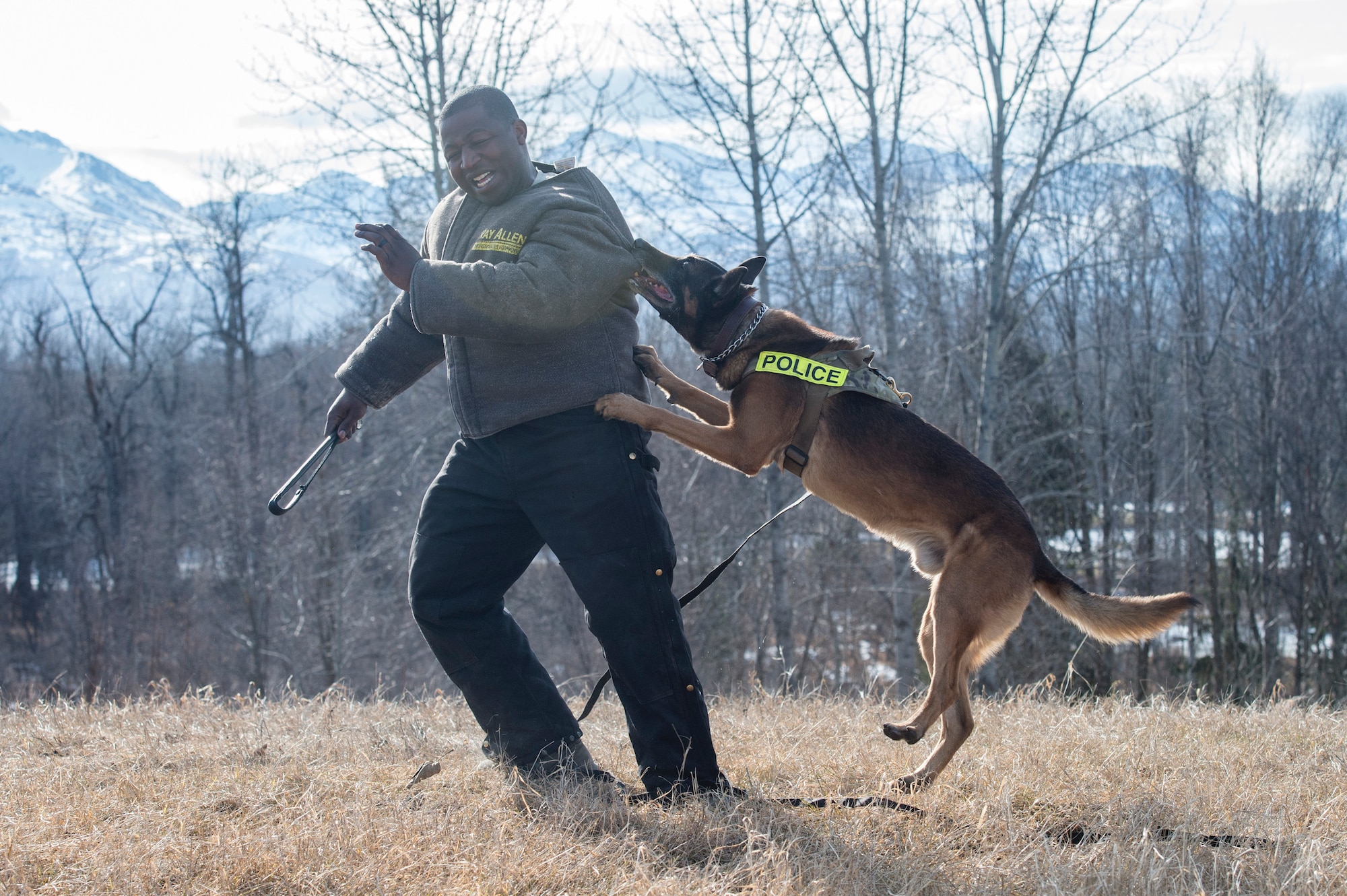 673d Security Forces Squadron military working dog teams stay aggressive at JBER