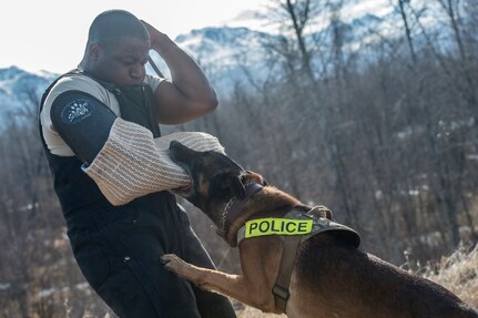 673d Security Forces Squadron military working dog teams stay aggressive at JBER