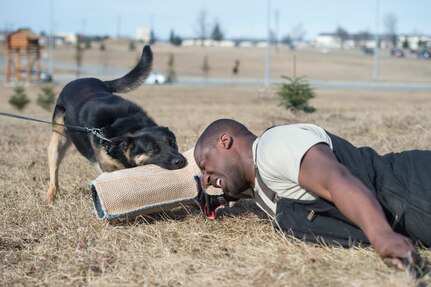 673d Security Forces Squadron military working dog teams stay aggressive at JBER