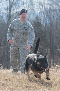 673d Security Forces Squadron military working dog teams stay aggressive at JBER