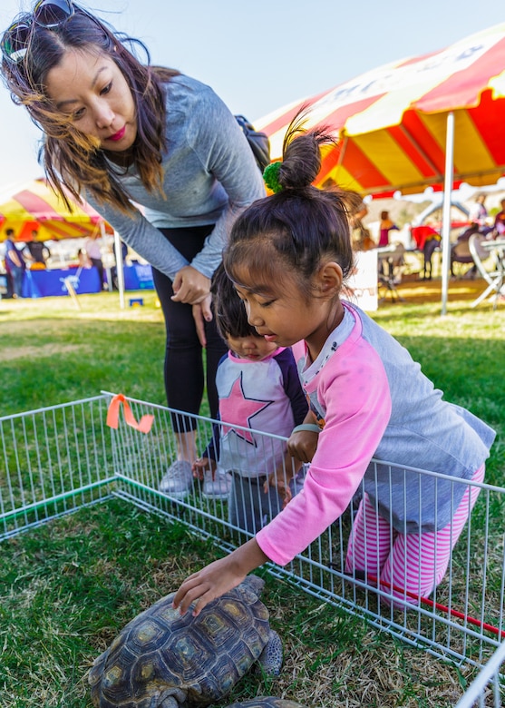 Hailey and Taylor Tran, children of Shannon Tran and Maj. David L. Tran, director, Natural Resources and Environmental Affairs, pet the desert tortoises during the 4th Annual Earth Day Extravaganza aboard the Marine Corps Air Ground Combat Center, Twentynine Palms, Calif., April 13, 2018. The purpose of the extravaganza is to bring families together and educate them on how to be better stewards of the Earth’s resources. (U.S. Marine Corps photo by Lance Cpl. Rachel K. Porter)