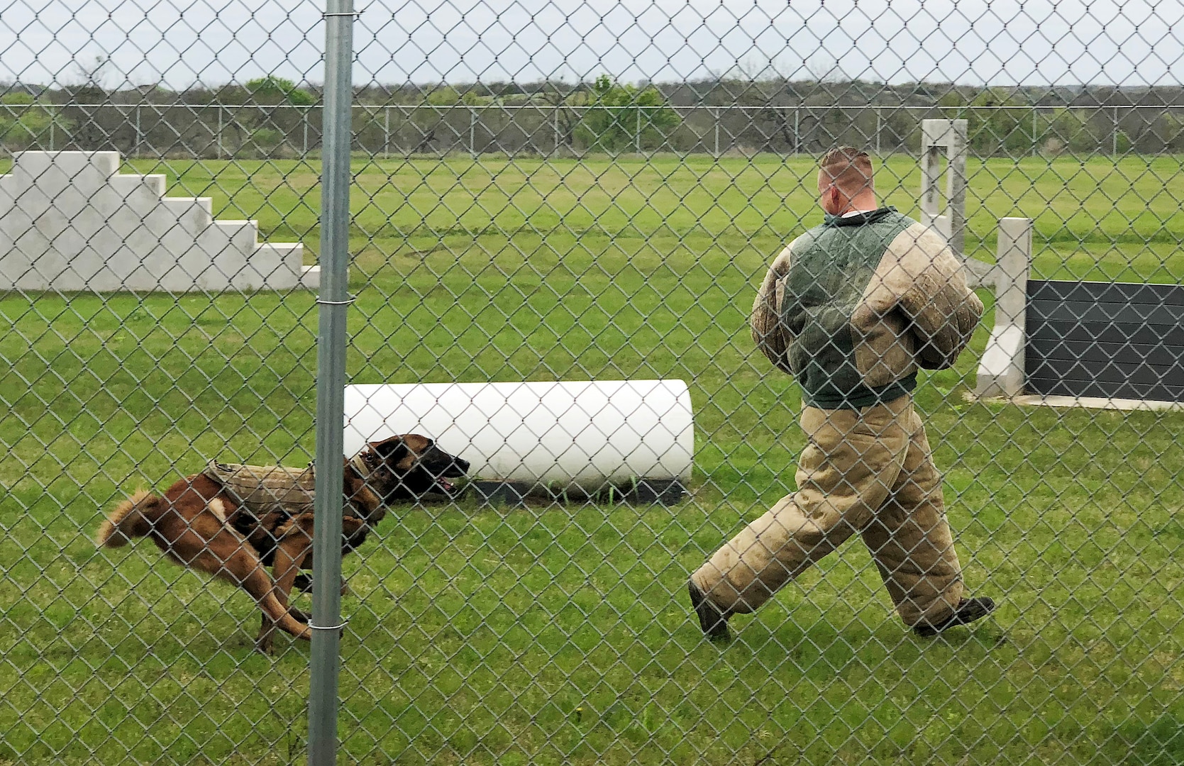 Balto, an 802nd Security Forces Squadron military working dog, chases an 802nd SFS MWD handler, during a demonstration for South San Antonio High School students at Joint Base San Antonio-Lackland March 9. The demonstration was part of a Troops for Teens program event, which links Air Forces Cyber Airmen with SSAHS at-risk teens.
