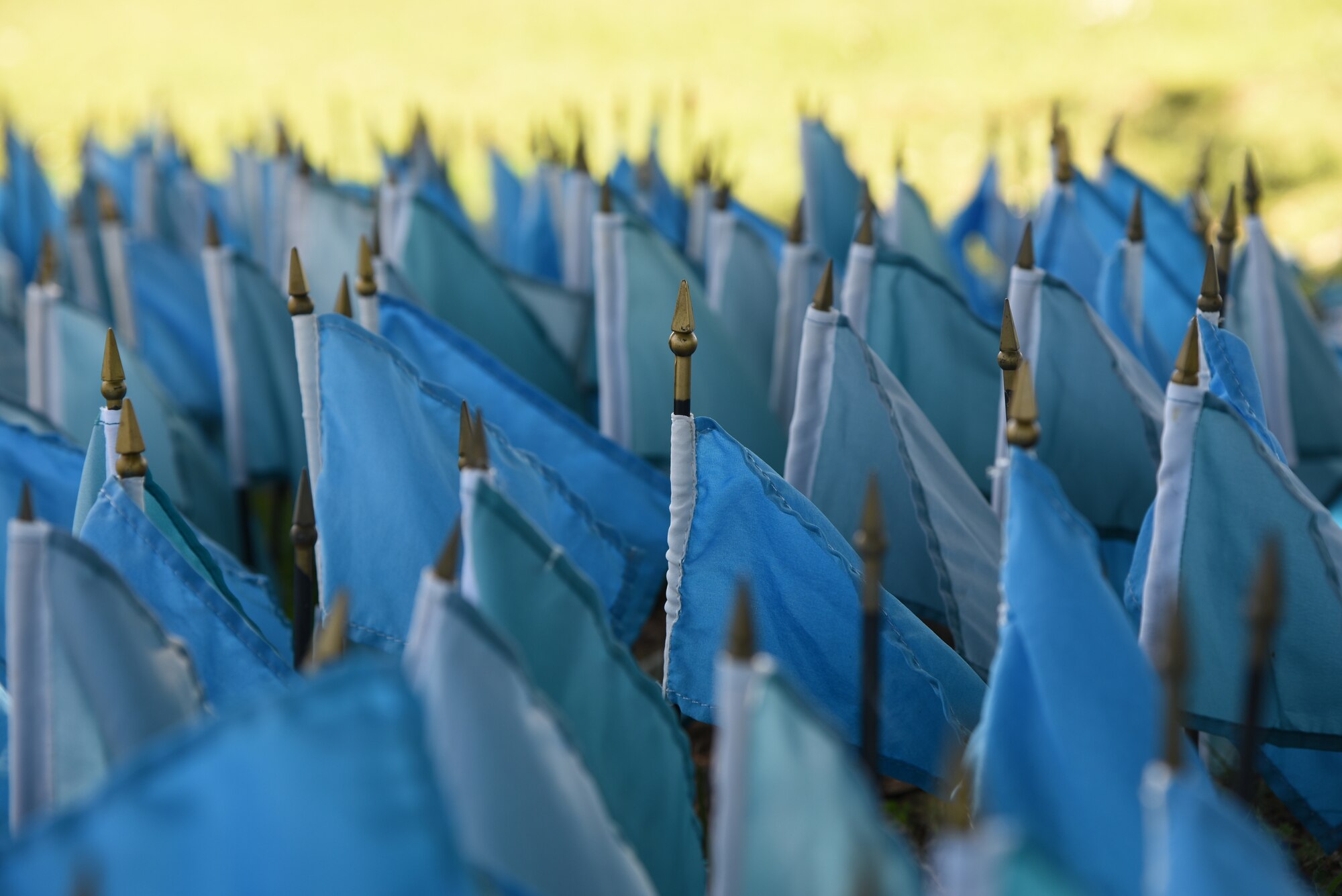 Teal-colored flags are displayed for Sexual Assault Awareness Month near the intersection of Larcher Blvd. and Meadows Dr. at Keesler Air Force Base, Mississippi, April 18, 2018. Each flag represents one Air Force member who reported being sexually assaulted in fiscal year 2015. The 1,312 flag display will be moved to several locations around the base throughout the month. (U.S. Air Force photo by Kemberly Groue)