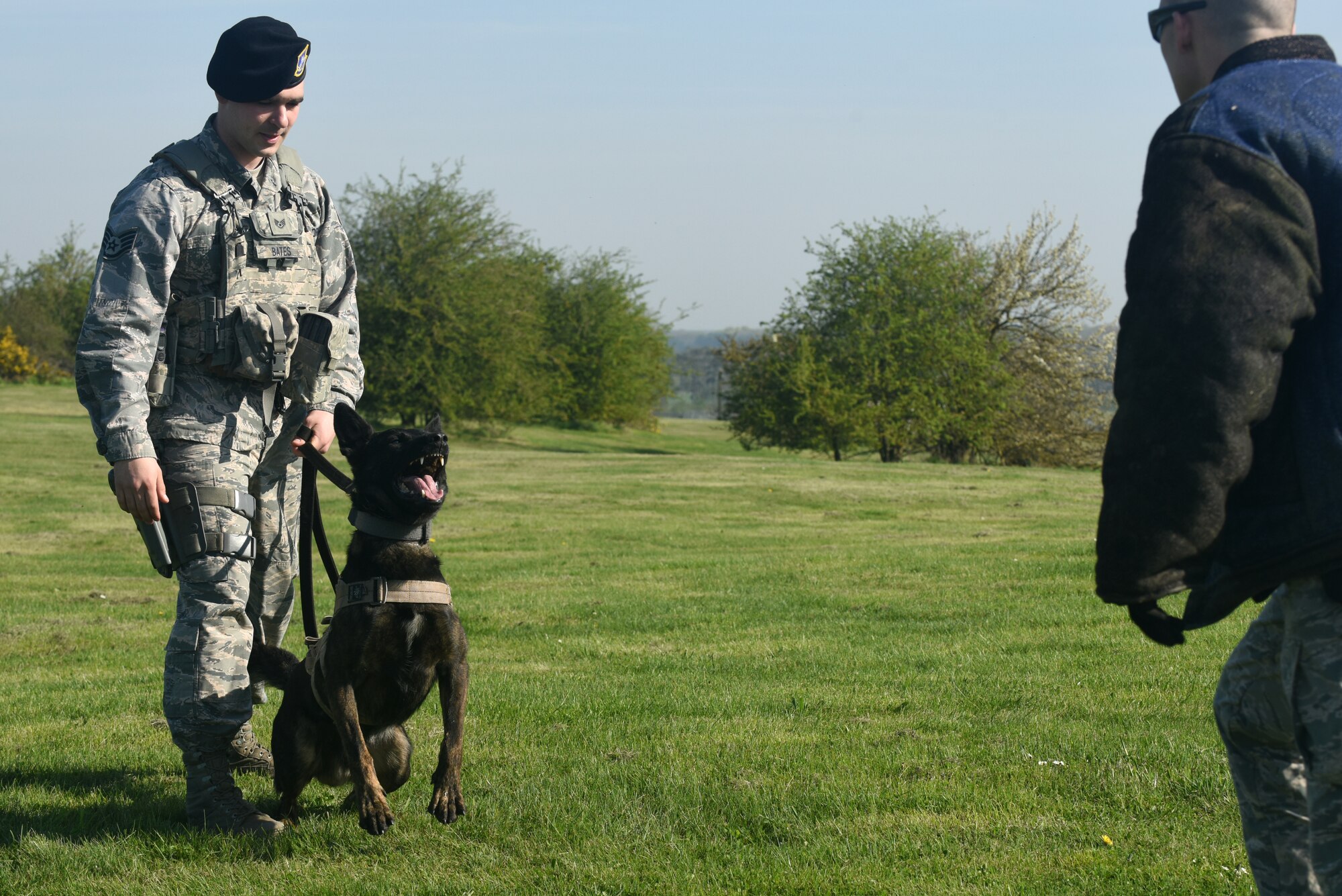 Staff Sgt. Bryce Bates, 48th Security Forces Squadron military working dog handler, and MWD Gorro conduct bite training at Royal Air Force Lakenheath, England, April 18, 2018. MWD teams work every day on base to maintain security and deter potential enemies. (U.S. Air Force photo by Senior Airman Eli Chevalier)