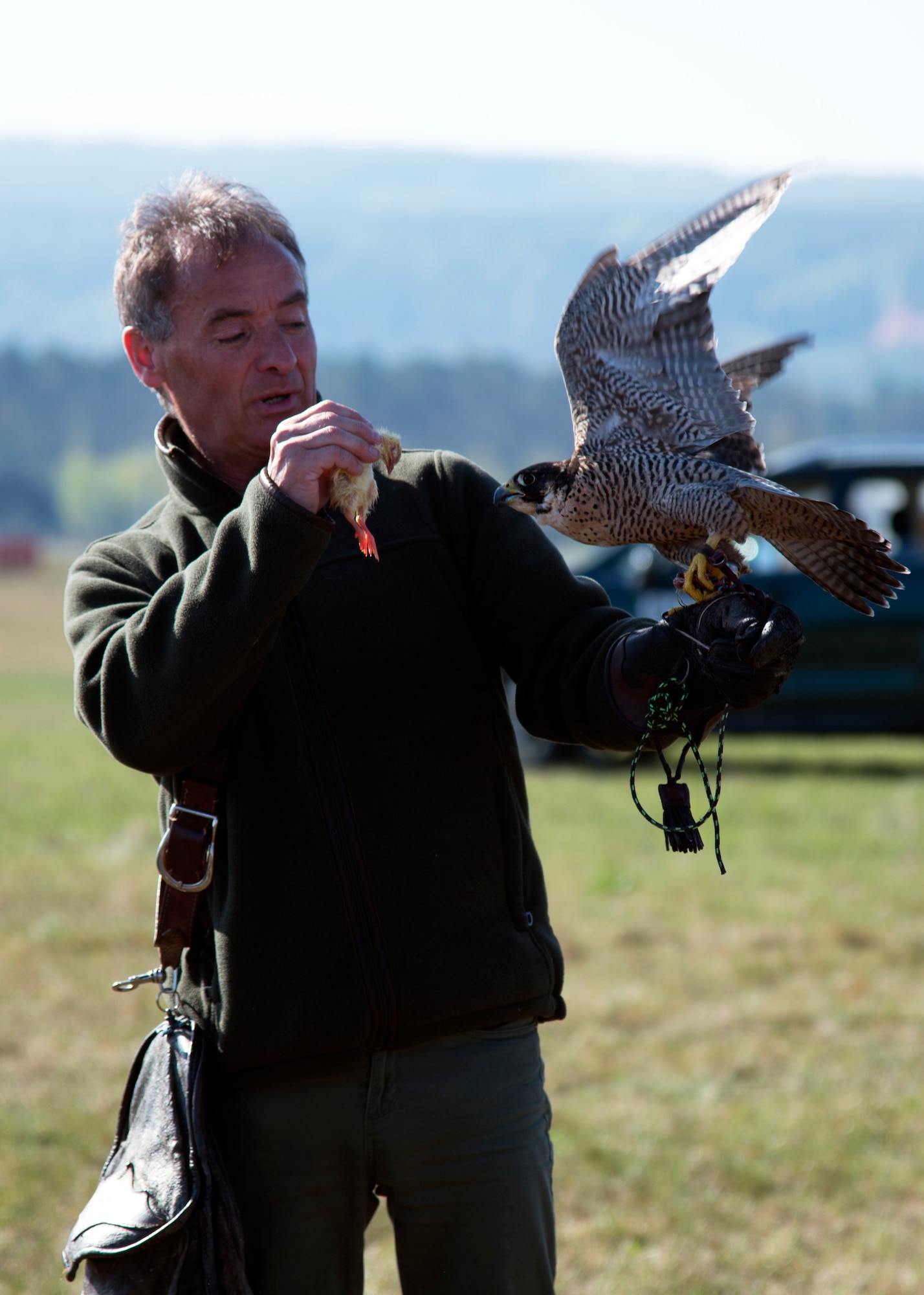 A peregrine falcon perches on its handler as part of an Earth Day demonstration on Ramstein Air Base, Germany, April 17, 2018.