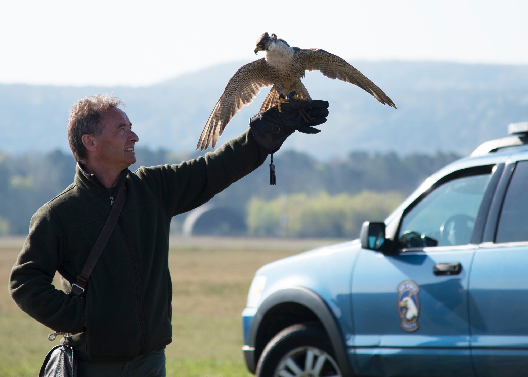 A peregrine falcon perches on its handler as part of an Earth Day demonstration on Ramstein Air Base, Germany, April 17, 2018.