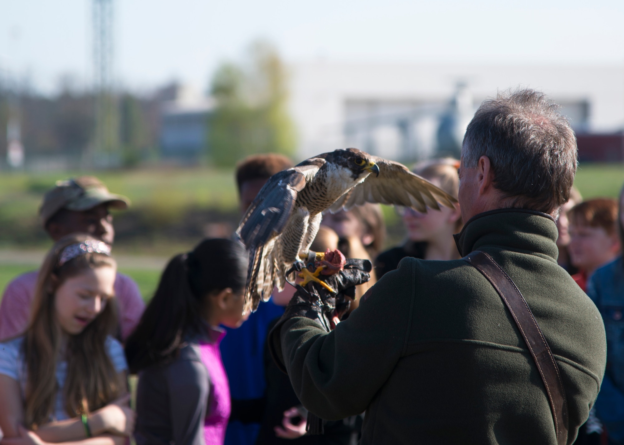 A peregrine falcon perches on its handler as part of an Earth Day demonstration on Ramstein Air Base, Germany, April 17, 2018.
