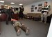 Ralph Marschhausen and Matthew Nolan, Security guards with the 23rd Space Operations Squadron, secure the simulated active shooter, in the 23rd SOPS command section office in Building 100 at New Boston Air Force Station, New Hampshire, April 10, 2018. The 50th Space Wing Inspector General's office conducted a short sprint active shooter exercise during their inspection visit to test the readiness of the wing's geographically separated unit.