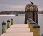 IMAGE: DAHLGREN, Va. (March 28, 2018) - A developmental, early variant of the Common Unmanned Surface Vehicle (CUSV) autonomously conducts maneuvers on the Potomac River Test Range during its demonstration before government, defense contractors, military personnel - and an Osprey. Navy scientists and engineers plan to prove the power of Naval Surface Warfare Center Dahlgren Division (NSWCDD) developed weapons systems integrated with the developmental CUSV at a gunfire demonstration later this year. A cooperative research and development agreement between NSWCDD and Textron Systems covers the integration of missile, designator, and remote weapon station payloads to the CUSV with its 3,500-pound payload capacity on the deck and a payload bay measuring 20.5 x 6.5 feet.