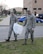 Staff Sgt. Nick Howard and Tech. Sgt. Travis Rowell, with the 552nd Air Control Network Squadron, teamed up to clean the grounds around the 552nd Air Control Wing during Tinker Pride Day Apr. 13, 2018.