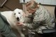 Therapy dog has paw-sitive impact on Airman morale