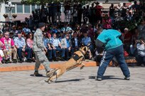 2018 Air Force Day at the Alamo