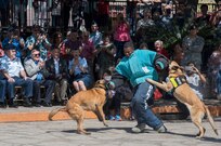 2018 Air Force Day at the Alamo
