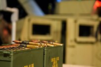 Cold Steel II:  Fort McCoy, Wis.