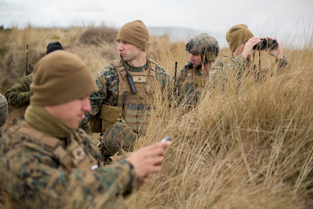 Marines with 4th Air Naval Gunfire Liaison Company, Force Headquarters Group, discuss different methods of call-for-fires at the Tain Gunfire Range in Tain, Scotland, April 24, 2018.