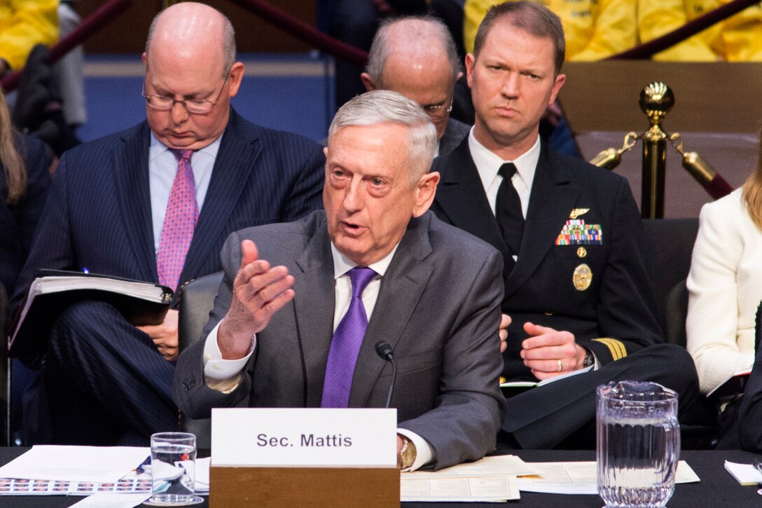 Defense Secretary James N. Mattis testifies at a hearing.