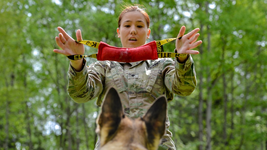 A soldier holds up a red training dummy as a dog's ears, shown from behind, perk up.