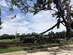 Damaged trees litter the Offutt Air Force Base parade grounds after a tornado swept through Offutt Air Force Base, Nebraska, June 16, 2017. Learning how to prepare for and respond to severe weather may reduce stress and increase the odds of making it through a disaster unscathed. (U.S. Air Force photo by Ryan Hansen)