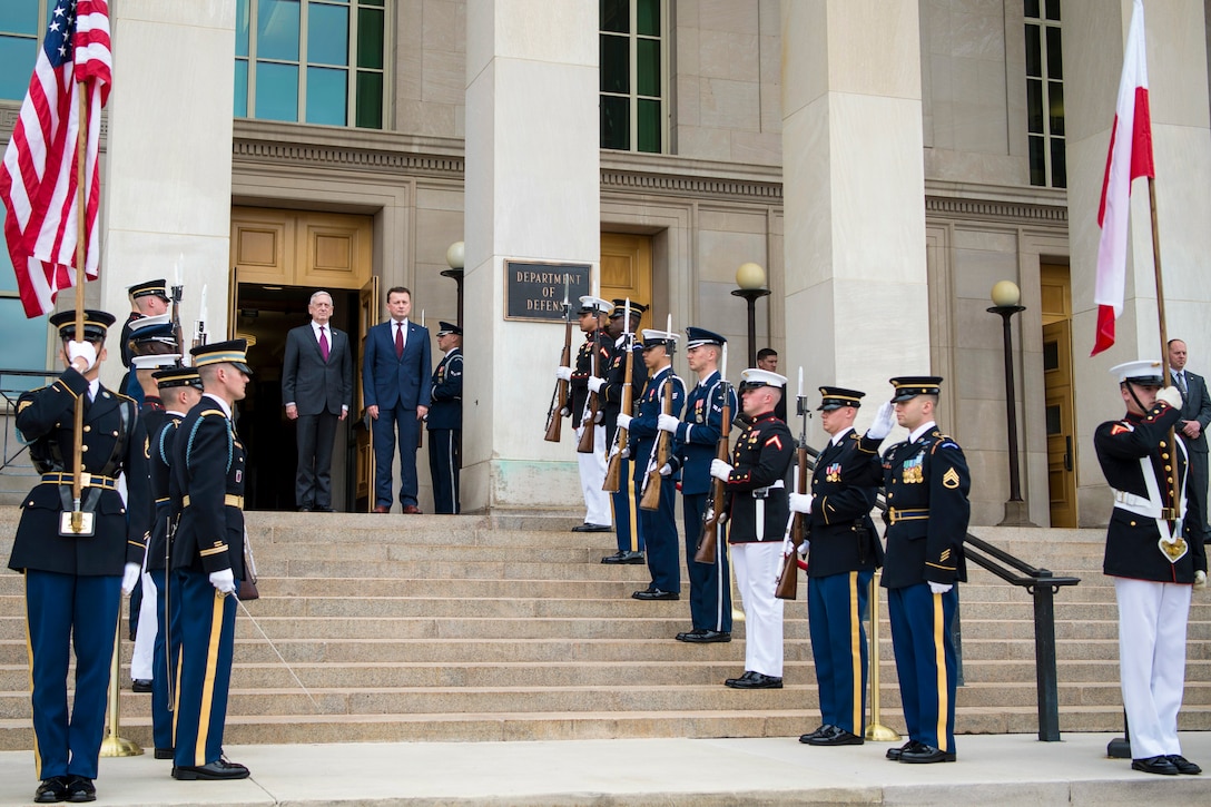 Defense Secretary James N. Mattis stands with Polish Defense Minister Mariusz Blaszczak on steps leading to a Pentagon entrance, flanked by troops.