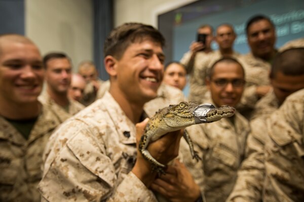 A U.S. Marine with Marine Rotational Force – Darwin 2018 handles a crocodile during a welcome aboard brief at Robertson Barracks, Darwin, Australia, April 12.