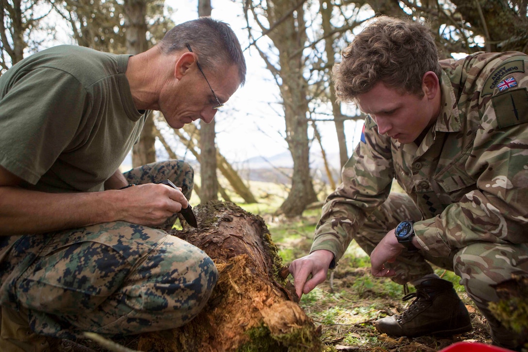 Marines forage for bugs and insects during survival training, in Durness, Scotland.