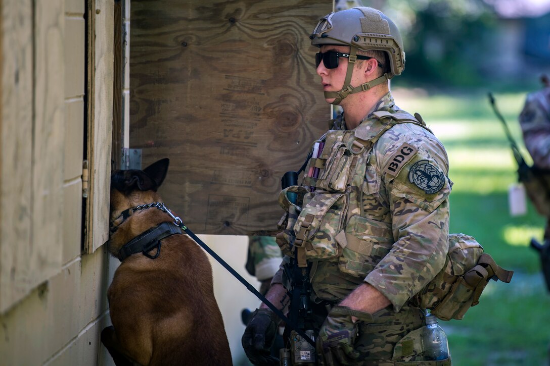 Senior Airman Nicholas Catling, 822d Base Defense Squadron military working dog (MWD) handler and MWD ‘IIsaac’, look for simulated explosives, July 25, 2018, at Moody Air Force Base, Ga. The ‘Safeside’ defenders evaluated their base defense tactics and procedures while performing patrols, tactical combat casualty care and countering improvised explosive devices for a mission readiness exercise. After successfully completing these events, the defenders are eligible to earn their Global Response Force status, which certifies the unit to deploy worldwide. (U.S. Air Force photo by Airman 1st Class Eugene Oliver)