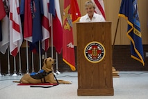 Sunnie Tortorici, a therapy dog trainer, explains the important role her trainee, Pappy Boyington, will play at the Naval Medical Center Camp Lejeune, N.C., July 10, 2018. According to the NMCCL, Pappy is part of the Canine Visitation Program which seeks to facilitate patient recovery, decrease stress levels, and provide a communication medium for patients, family and personnel. (U.S. Marine Corps photo by Lance Cpl. Nathan Reyes)