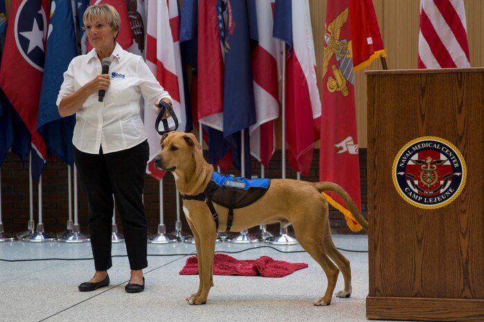 Pappy Boyington, a therapy dog assigned to Naval Medical Center Camp Lejeune and his trainer, Sunnie Tortorici, participate in a debut event at NMCCL, N.C., July 10, 2018. Pappy is the first therapy dog to offer support to patients and staff at NMCCL. (U.S. Marine Corps photo by Lance Cpl. Nathan Reyes