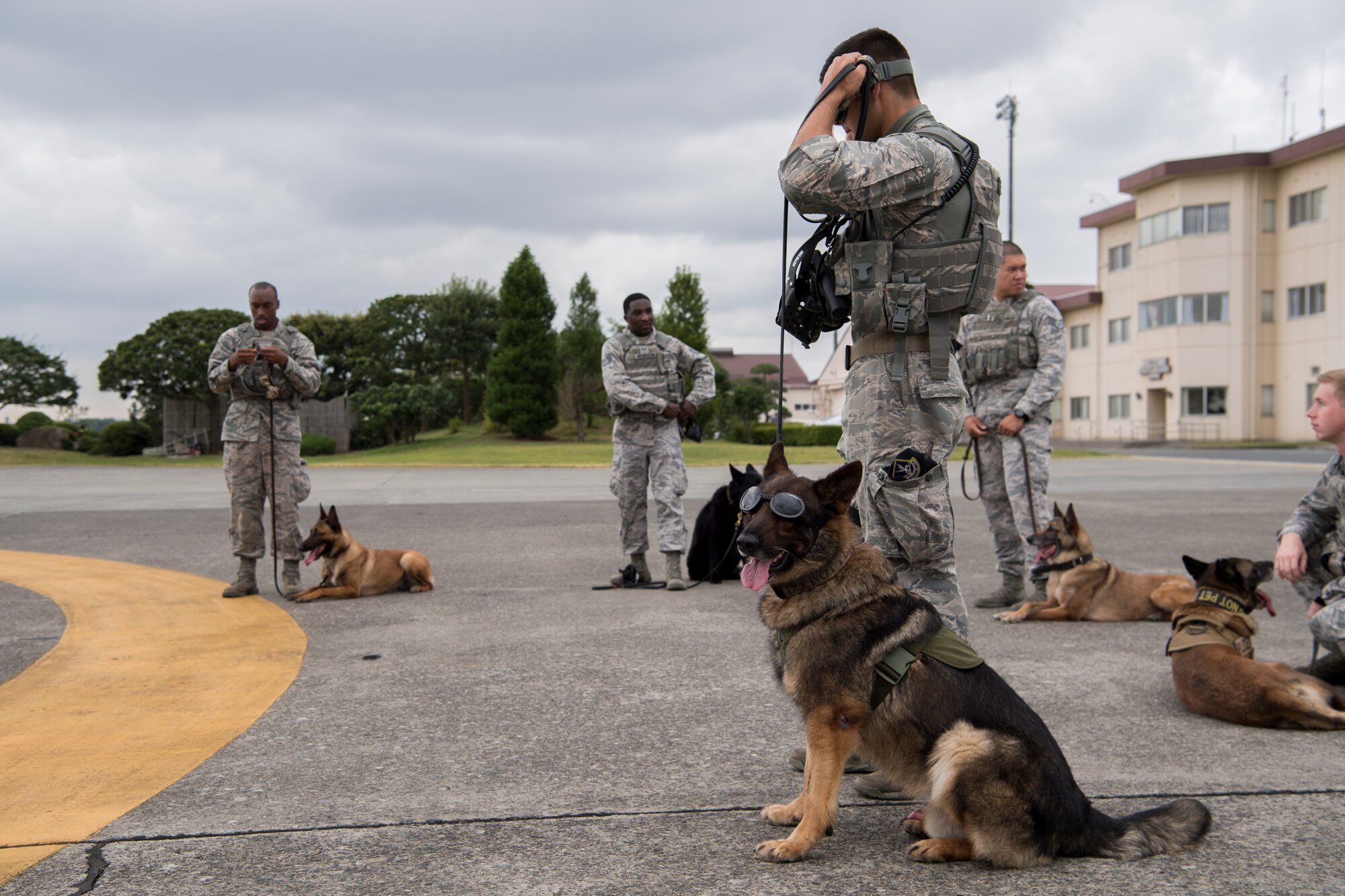 Staff Sgt. Travis Bell, 374th Security Forces Squadron military working dog handler, and Benjo, 374 SFS MWD, prepare to board an aircraft during a 459th Airlift Squadron MWD UH-1N helicopter familiarization flight July 26, 2018, at Yokota Air Base, Japan.