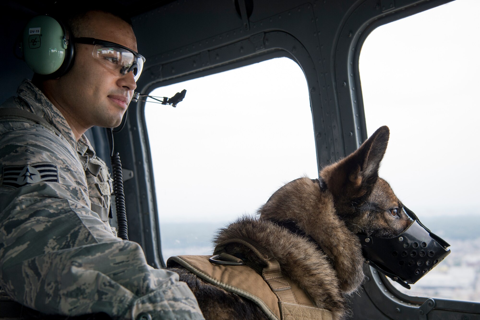 Staff Sgt. Mario Hernandez, 374th Security Forces Squadron military working dog handler, and Demo, 374 SFS MWD, look out the window of a UH-1N helicopter during a 459th Airlift Squadron MWD UH-1N helicopter familiarization flight July 26, 2018, at Yokota Air Base, Japan.