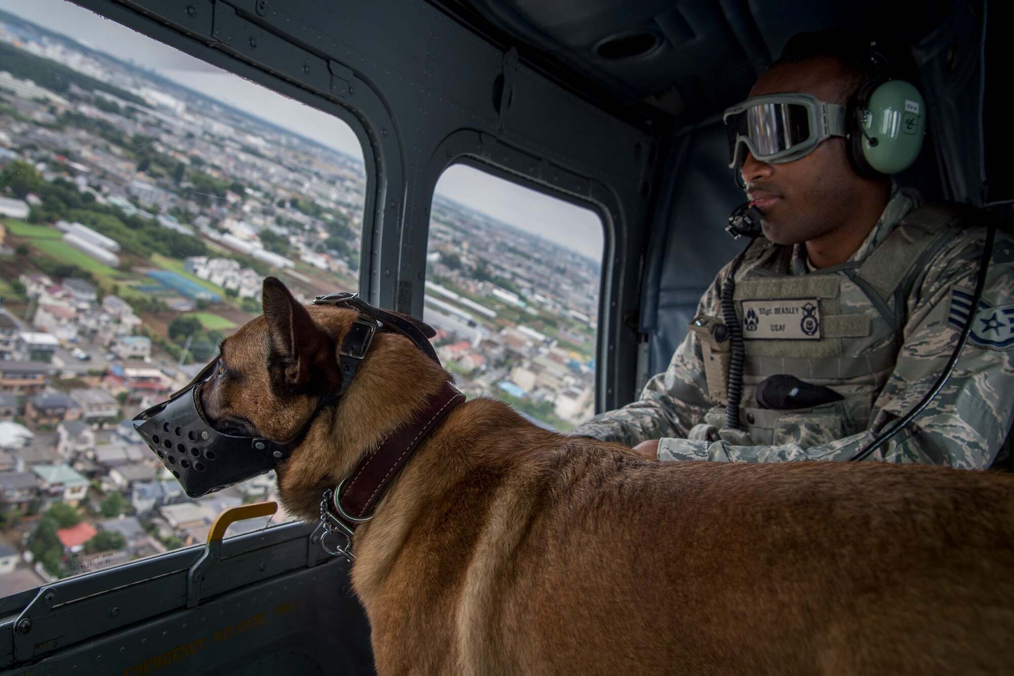 Staff Sgt. Terrell Beasley, 374th Security Forces Squadron military working dog handler, and Fflorida, 374 SFS MWD, look out the window of a UH-1N helicopter during a 459th Airlift Squadron MWD UH-1N helicopter familiarization flight July 26, 2018, at Yokota Air Base, Japan.