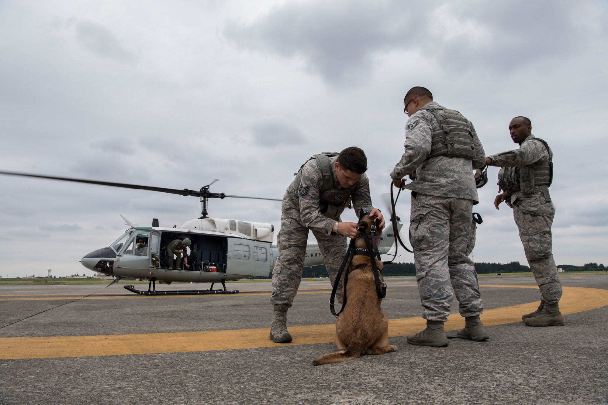 Tech. Sgt. Jordan Gunterman, 374th Security Forces Squadron NCO in charge of the military working dog section, looks over Diesel, 374 SFS MWD, prior to boarding a UH-1N helicopter during a 459th Airlift Squadron MWD familiarization flight July 26, 2018, at Yokota Air Base, Japan.